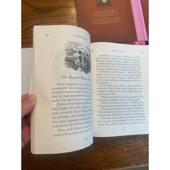 Set Of 4 Fully Illustrated Adapted Classics Dalmatian Press: Anne Of Green Gable - Picture 6 of 8